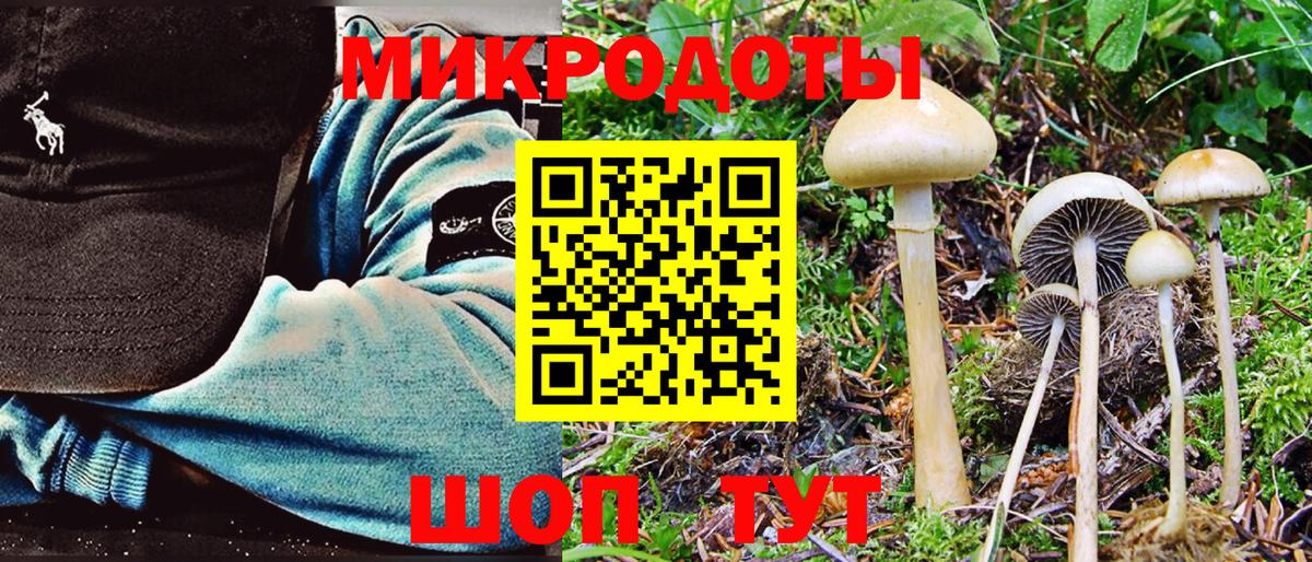 Галлюциногенные грибы GOLDEN TEACHER Апатиты